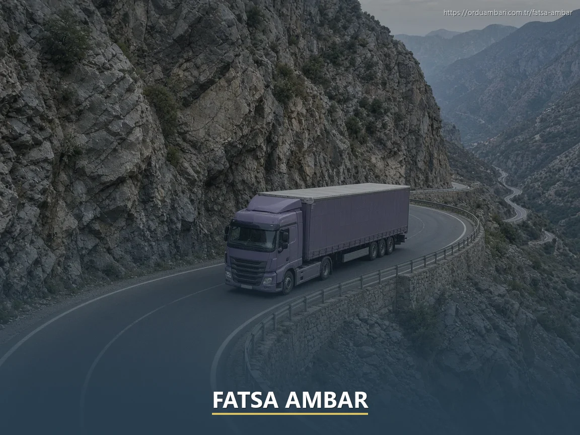 Fatsa Ambar